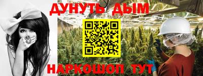 дмт Краснодар