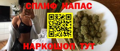 дмт Краснодар