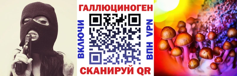 купить  сайты  гидра вход  Галлюциногенные грибы Psilocybine cubensis  Кольчугино 