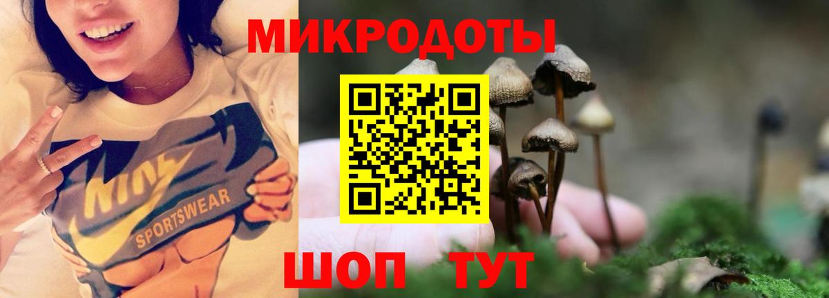 Галлюциногенные грибы прущие грибы  Вход с VPN  Галлюциногенные грибы прущие грибы  Кольчугино 